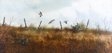 Garnet Buster (20th century) - partridges in flight, watercolour.