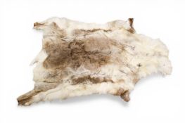 Taxidermy - a Reindeer fur skin rug.