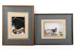 Two miniature dioramas of a Pheasant in the snow and a Common Red Fox with its kill at night both