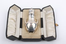 A twin-handled silver sugar sifter.