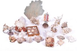 A very large quantity of sea shells in natural and display form.