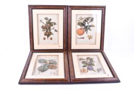 Sara Barrass (20th century) - four of a set of twelve 'The Chelsea Fruit Collection',