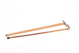 Two assorted walking sticks.