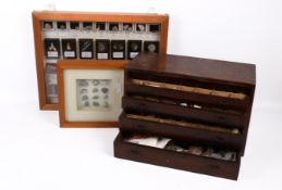 A table top geological specimen cabinet along with two framed displays.