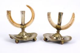 A pair of silver hallmarked mounted boar's tusks candlesticks with plated stands.
