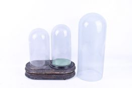 A group of three assorted glass domes and three wooden bases. Not matched.