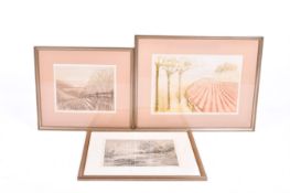 Two limited edition colour etchings by Julie Young and another in monachrome (unsigned),