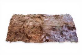 A taxidermy dark brown fur skin rug with a cloth backing.