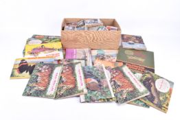 A collection of assorted collector's trading cards.