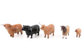 Five assorted Beswick ceramic figures of cattle. Including Aberdeen Angus bull, cows and a calf.