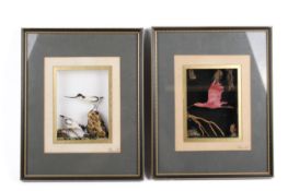 A pair of signed Macneil bird dioramas.