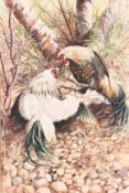 'Cock Fight', oil on board.
