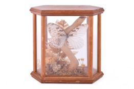 A butterfly specimen diorama in wooden, glazed case. Mounted on a stick to a woodland scene. H21.