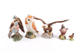 A collection of five assorted Beswick ceramic birds including Bald Eagle, Barn Owl, etc.