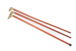 Three assorted walking canes with brass handles. Two having heads of birds the other a dog.