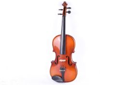 Chinese Skylark violin MV:007 in a case.