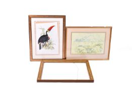 A print of a Toucan in foliage, another and a picture frame. Largest 62cm x 76cm. (3).