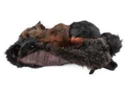 A group of three fur stoles and a muff.