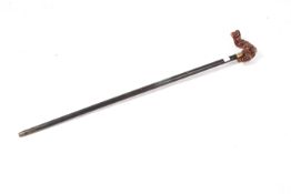 A walking cane with a naturalistic root handle.