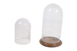 Two glass display domes, one with a wooden base.