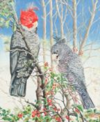 JLW Milson (20th century), oil on canvas - Ornithological studies, parrots eating fruit.