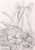 A contemporary still life drawing of a basket of onions and plants.