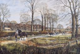 Anthony Buckley, watercolour, 'shire horse'.