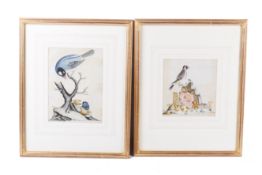 James Cornish junr, watercolour of a goldfinch, and another. Signed and dated 1783 lower right, 14.