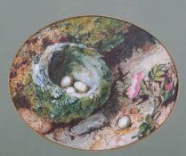 Attributed to Charles Franklin Pierce (British 1857-1894) watercolour, 'The Nest'.