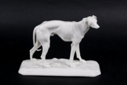A white glazed porcelain figurine modelled as a standing Grey hound.