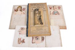 A group of four assorted vintage Anatomy and Physiology Human Body educational flip books.