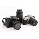 Two Canon SLR cameras and three lenses.