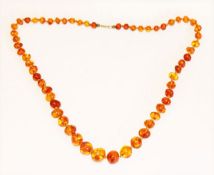 Bernstein Kette in Verlaufform, L 60 cm, 29,54 gr.