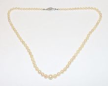 Perlenkette in Verlaufform mit 835 Silberschließe, L 50 cm