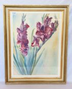 Aquarell 'Gladiolen', signiert Wolf 66 ?, mit Passepartout unter Glas gerahmt, Rahmen beschädigt,