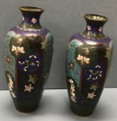 A pair of early 20th Century Chinese cloisonne floral decorated vases of hexagonal form,