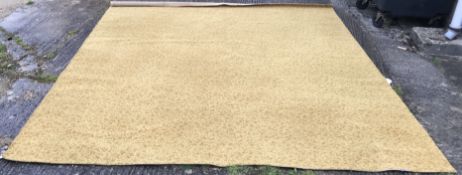 A large modern machine woven carpet of y