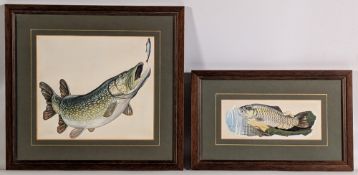 2x good original small pike carp paintings from Catch A Big Fish, David Carl Forbes Fishing Book.