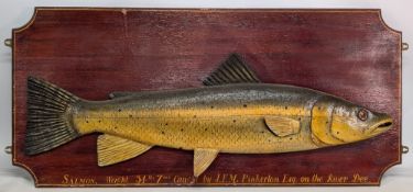 Large decorative wooden carved Salmon Fish Display: caught on the river Dee, J F M Pinkleton -