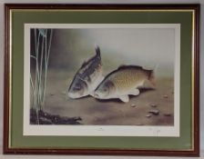 James Green (20th century) limited edition Fishing print, signed by artist entitled Pair of Carp