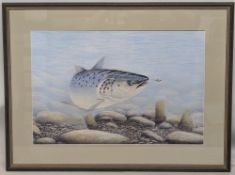 Peter Skillen: a pastel drawing of an Atlantic salmon about to take a fly, signed Peter A Skillen