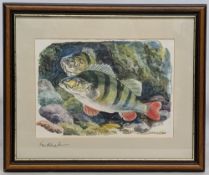 Bernard Venables signed print, of a pair of Perch, signed in pencil to mount - size #42cm x50cm