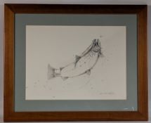 Robin Armstrong original pencil sketch of a trout. Framed and mounted under glass - size #50cm x