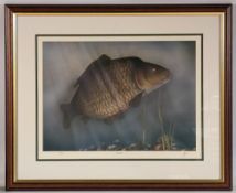 James Green (20th century) limited edition Fishing print signed by artist entitled Common Carp,