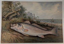 1880 Red Fish Painting by Samuel A Kilbourne (1836-1881): A tropical beach scene of catch -