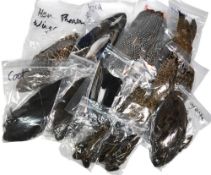 Very good collection of paired wing feathers, made up of guinea fowl, hen pheasant, mallard,