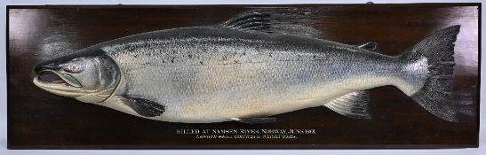 Fochaber's Studio - Carved Salmon - C Farlow & Co Ltd Stamped to reverse - superb example 'Killed at