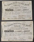 AUSTRALASIAN LAKE BATHURST GOLD MINING COMPANY c1880s. Certificate for 10 Bearer shares on the