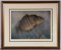 James Green (20th century) limited edition Fishing print signed by artist entitled Common Carp No.