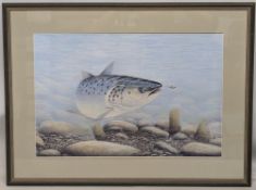 Peter Skillen: a pastel drawing of an Atlantic salmon about to take a fly, signed Peter A Skillen
